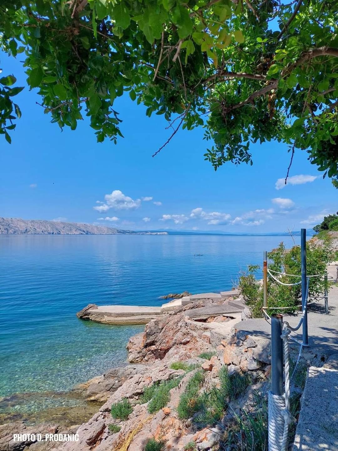 Patrik Apartment سينج المظهر الخارجي الصورة